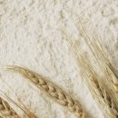 동명산소 이미지