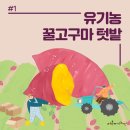 정촌농장 이미지