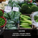신도농산