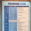 갯골생태공원 | 아기랑 가볼 만한 곳 '갯골생태공원' 방문 후기