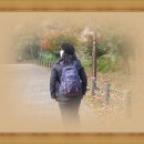 사진편집기[포토스케이프] 이미지