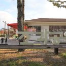 공지숲매점 이미지