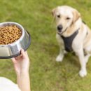 불리빌로우코리아센터 이미지