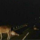 활보농장 이미지