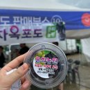 송산포도로 | 2025 화성송산포도축제 후기