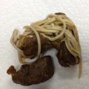 츄츄동물병원 이미지