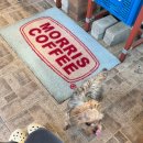 중앙대로 | 대구 남산동 카페 모리스커피(Morris Coffee), 힙한 교동 라떼 맛집 솔직후기