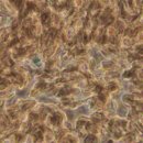 천인지한의원 이미지