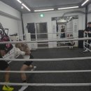 에밋 복싱 | 분당 복싱장 에밋복싱 원정 스파링 후기 | 샷건복싱 조성호 선수와 함께한 실전 경험