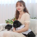 꽃남꽃녀