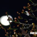 이팔청춘삼겹살