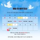 세척 호박고구마 10키로 1만원 무료배송 이미지