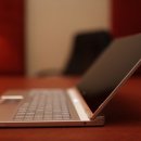 팜 (palm) 이미지