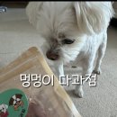 멍멍이 다과점 이미지