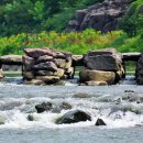 명신관광 이미지