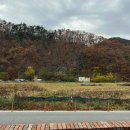 하늘향기캠프 | 대전 뚜벅이 우정여행 숙소추천 글램핑장 캠프향기 카라반 후기(장단점)