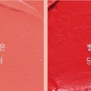 저스트틴트 이미지