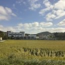 태블리 | [태안] 태블리 풀빌라 C2 내돈내산 후기ㅣ태블리 풀빌라 칫솔치약 수건ㅣ커플 풀빌라 추천ㅣ예산시장 후기