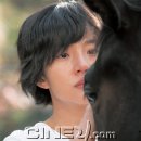 각설탕 이미지