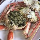 카페베네 대포항점 오락실 | 속초 맛집? 솔직 후기+ 대포항 오락실// 대포항 횟집 @원창호+ 앵커 커피 + 물회 @봉포머구리집