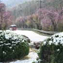 거창-거창-14 이미지