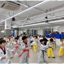 세정태권도장 이미지