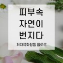 플로르스토어