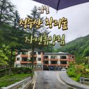 구룡천 | 임실 성수산왕의숲자연휴양림 휴양관에서 1박2일
