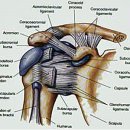 경희이지한의원 이미지