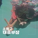 중부열쇠 - 천안시 동남구 터미널6길 21 | 대만 가오슝 근교 거북이섬 소류구 스노쿨링 대중부잠 이용 후기