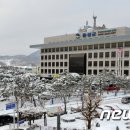 음성읍 명품가로숲길 이미지