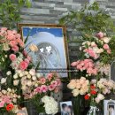 유미 | 인천 부평 빌라드마리 아이폰스냅 후기 | 유미하다스냅 본식 후기 (사진 1800장 이상)