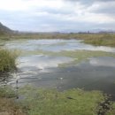 금호강영천 이미지