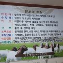 승원보아 염소나라 이미지