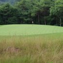 웰리힐리 컨트리클럽 이미지