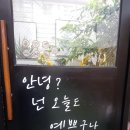 쌈250 이미지
