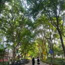 SC제일은행 횡단보도 이미지