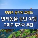 펫팸족 증가, 반려동물 동반 여행 대세! 투자처 추천 이미지