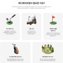 26년 캐디 배상책임보험 가입 안내 이미지