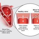 송파새날동물병원 이미지