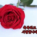샬롬 Daum카페