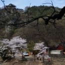 대송면 홍계숲 | 포항 오어사