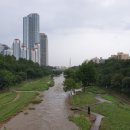 개포이레공인중개사사무소 이미지
