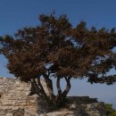 효행로481번길 이미지