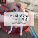 루페스 빅풋 디테일링센터 하남점 이미지