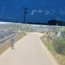 정생1리 이미지