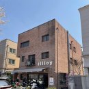 일로이