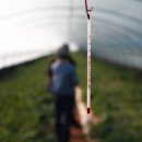 성내농장 이미지