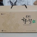 레인포러스