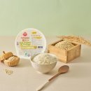 밥식이 AP신문